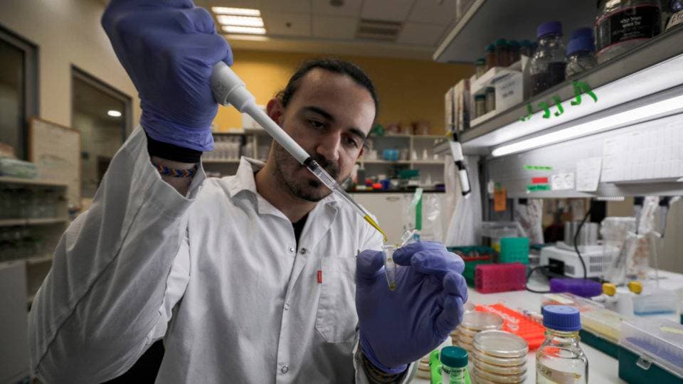 Imagem da notícia: Cientistas pesquisam vacinas contra o coronavírus ao redor do planeta, incluindo no Brasil