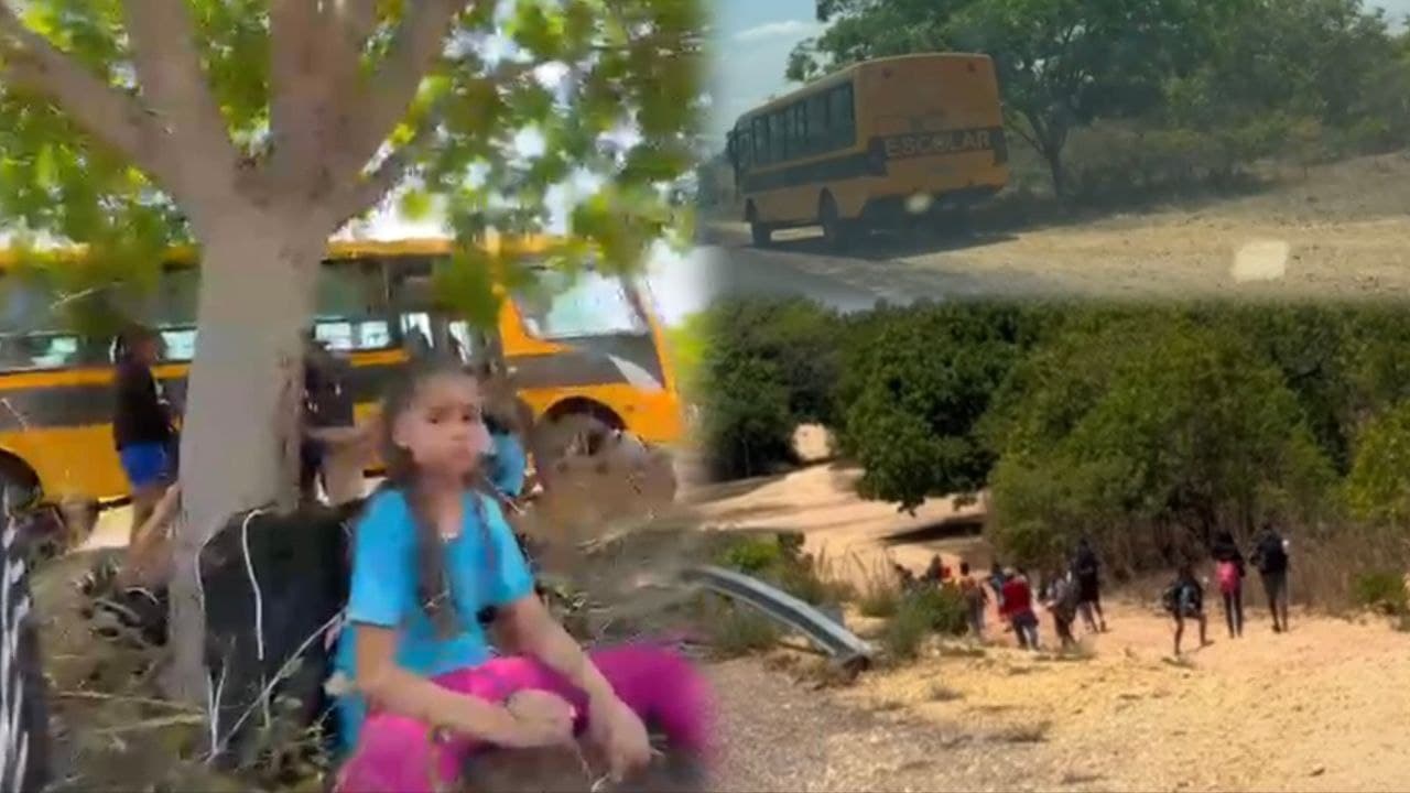 Foto da notícia: Ônibus quebra pela 2ª vez em menos de 15 dias e deixa alunos “no prego” na zona rural de Guaraí