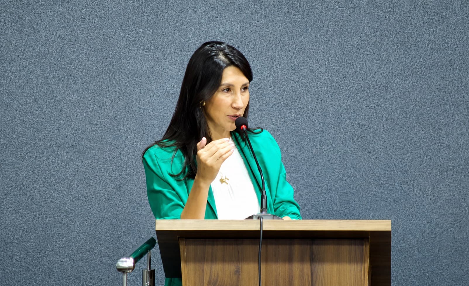 Foto da notícia: Vereadora lê carta emocionante de mulher que alega ter sido demitida por ser autista em Guaraí