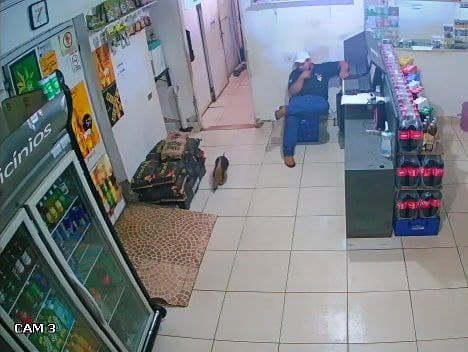 Imagem da notícia: Câmeras de segurança flagram “mambira” invadindo distribuidora de bebidas no Centro de Guaraí