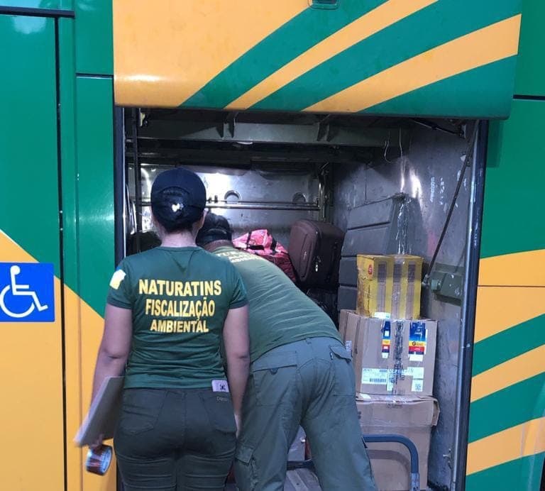 Imagem da notícia: Pescado, carne de capivara e de jacaré são apreendidas em fiscalização entre Guaraí e Paraíso