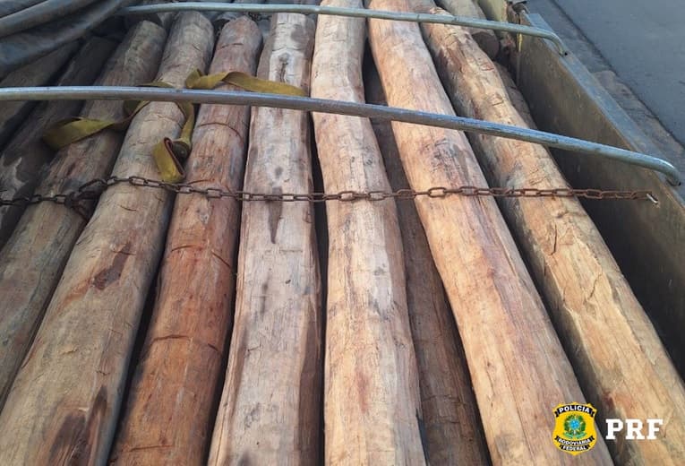 Foto da notícia: PRF identifica divergências em carga de madeira e aponta indícios de crime ambiental em Guaraí