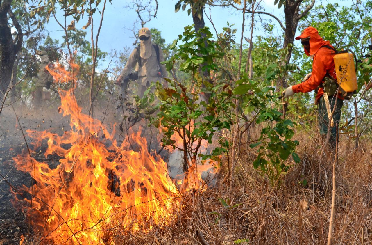Projeto que autoriza criação de brigada de incêndio em Guaraí aguarda votação na Câmara