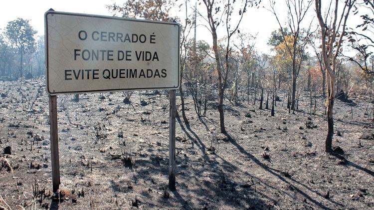 Tocantins registra 3,8 mil focos de queimadas, 22,4% menos que no mesmo período de 2019