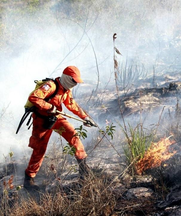 10 servidores e mais dois voluntários de Guaraí são capacitados para atuar em brigada de incêndio