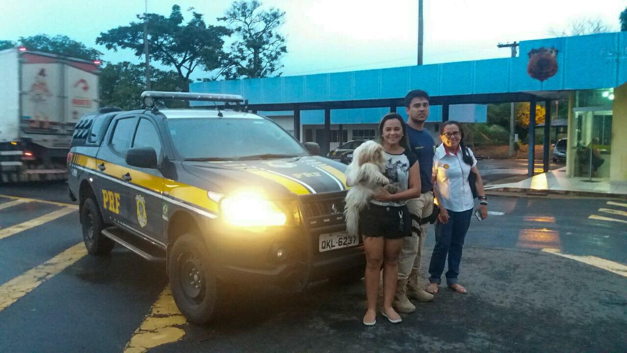Cadelinha furtada por caminhoneiro no Maranhão é recuperada com ajuda da PRF de Guaraí