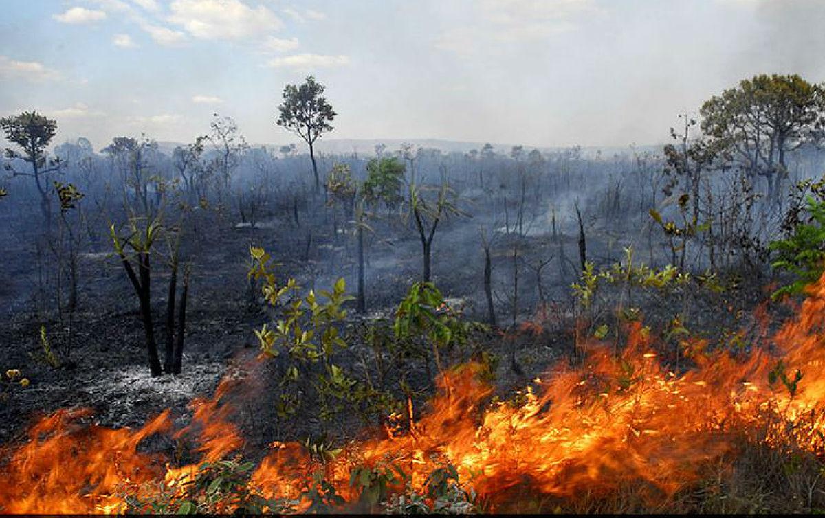 Governo Federal estuda criar “sistema de aviso prévio” para combater queimadas